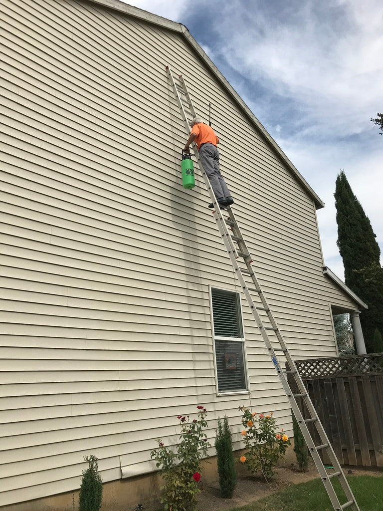 Man on ladder spraying cleaner onto vinyl siding with green pump up garden sprayer